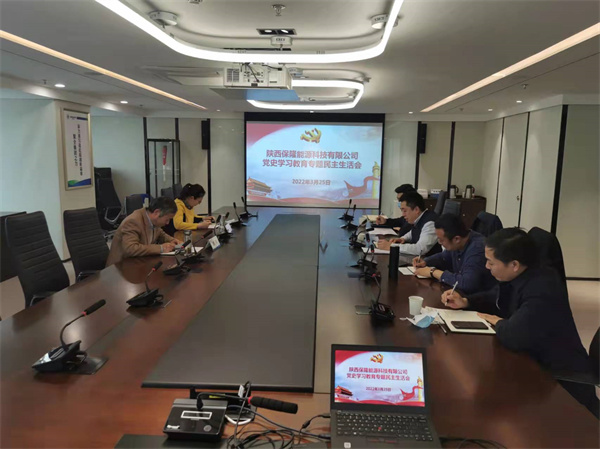 陕西保隆能源科技有限公司召开党史学习专题民主生涯会.jpg