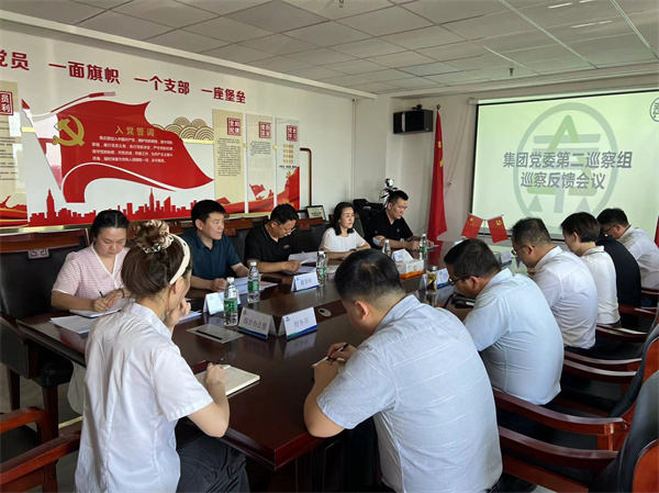 集团公司党委第二巡察组向榆林分公司反响巡察情形.jpg